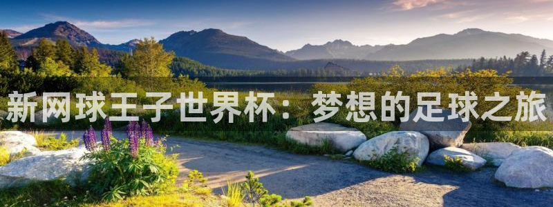 世界杯今年：新网球王子世界杯：梦想的足球之旅