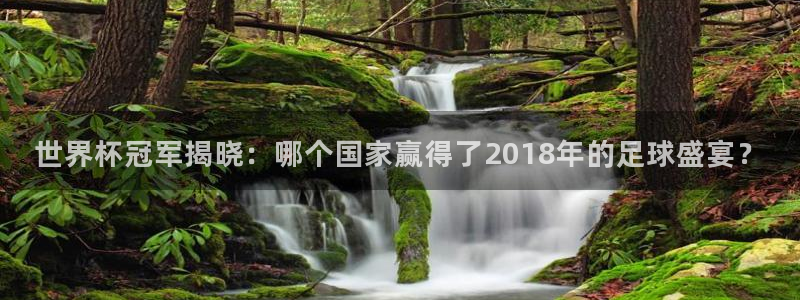 世界杯预选赛欧洲赛区积分榜：世界杯冠军揭晓：哪个国家赢得了2018年的足球盛宴？