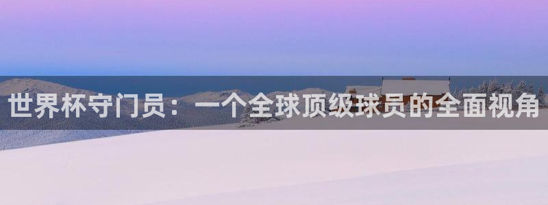 世界杯球队排名：世界杯守门员：一个全球顶级球员的全面视角