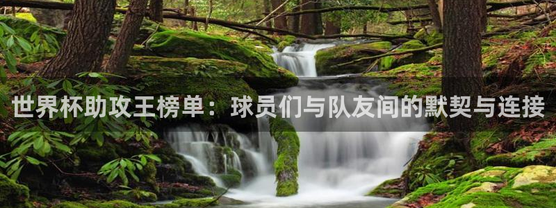 世界杯系列赛：世界杯助攻王榜单：球员们与队友间的默契与连接