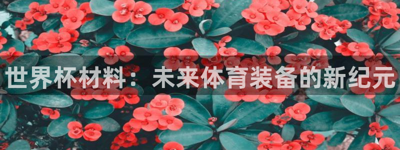 世界杯预选赛直播：世界杯材料：未来体育装备的新纪元