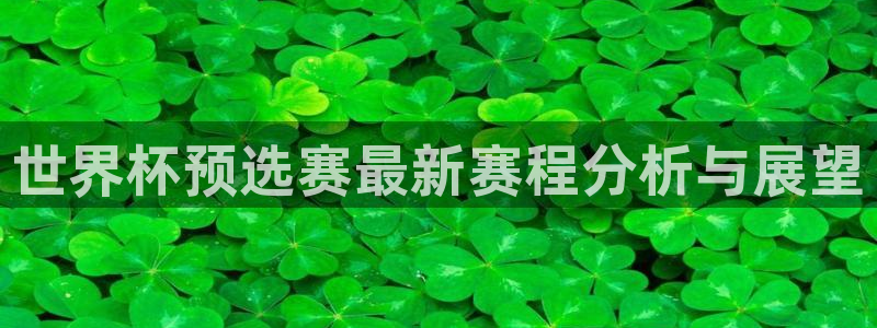 世界杯欧洲区预选赛：世界杯预选赛最新赛程分析与展望