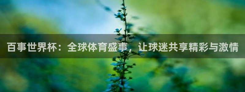 世界杯欧洲区预选赛赛程：百事世界杯：全球体育盛事，让球迷共享精彩与激情
