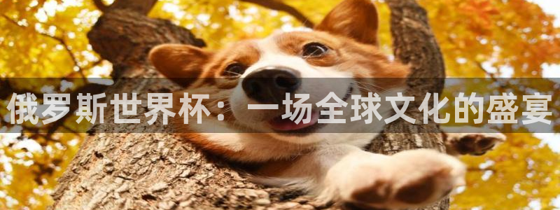 2026世界杯赛制：俄罗斯世界杯：一场全球文化的盛宴