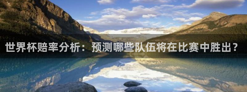 世界杯比赛赛程：世界杯赔率分析：预测哪些队伍将在比赛中胜出？