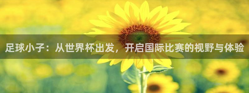 2026世界杯亚洲预选赛：足球小子：从世界杯出发，开启国际比赛的视野与体验