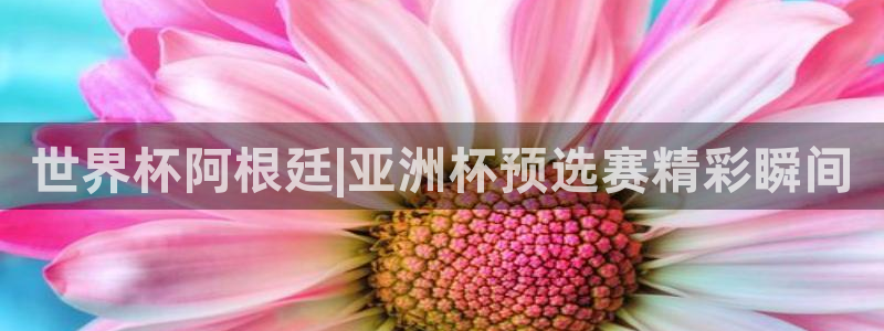 欧洲世界杯预选赛赛程：世界杯阿根廷|亚洲杯预选赛精彩瞬间