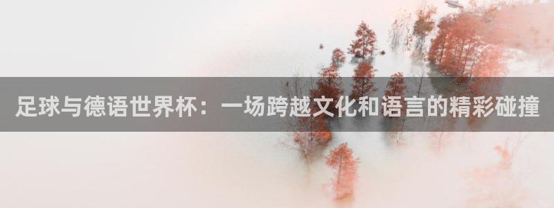 2026年世界杯时间表：足球与德语世界杯：一场跨越文化和语言的精彩碰撞